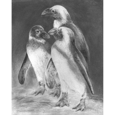 Penguins drawing in pencil.
