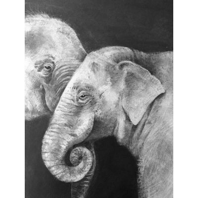 Elephant drawing in pencil.